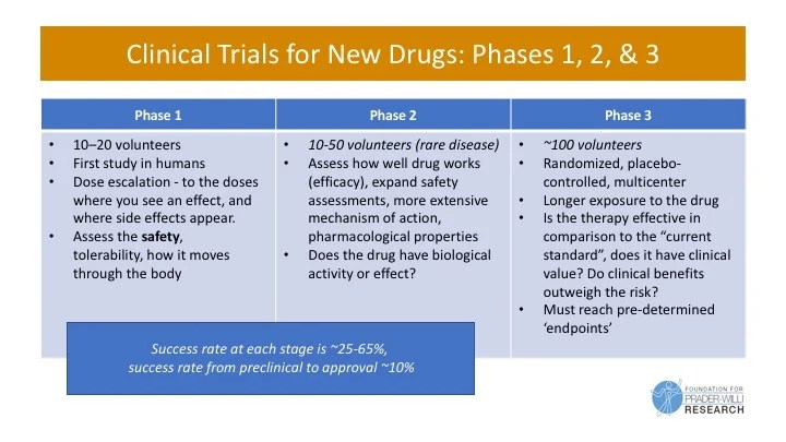 Drug Development Process Overview